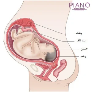 3 ماه سوم بارداری